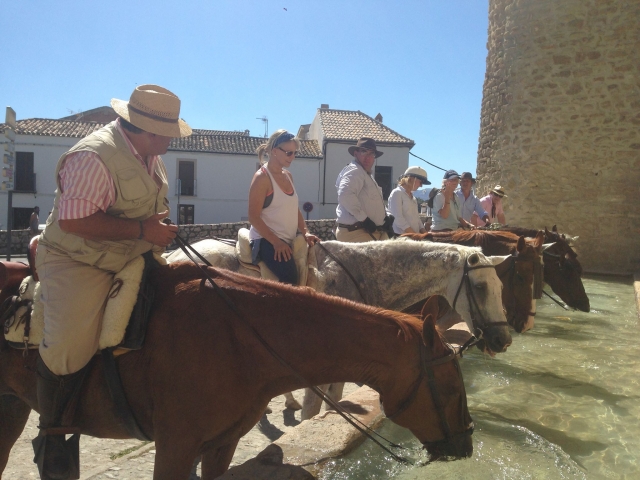  Chevaux buvant à Osuna 